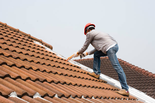 Best Tile Roofing Installation  in Dudley, NC